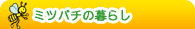 �~�c�o�`�̕�炵�̕�炵