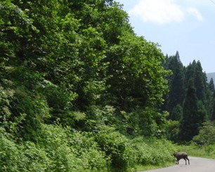 05071812.DSC01056.JPG 306245 33K