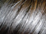 DSC01262.jpg 150¡ß112 8K