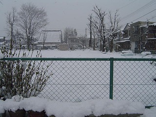 06033109.DSC01383.jpg 320×240 36K