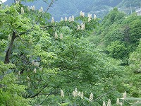 grp0529180319.jpg 200150 19K