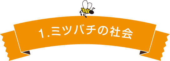 1.ミツバチの社会