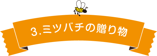 3.ミツバチの贈り物