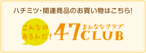 47クラブバナー