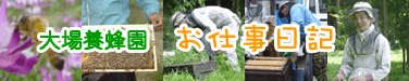 大場養蜂園お仕事日記